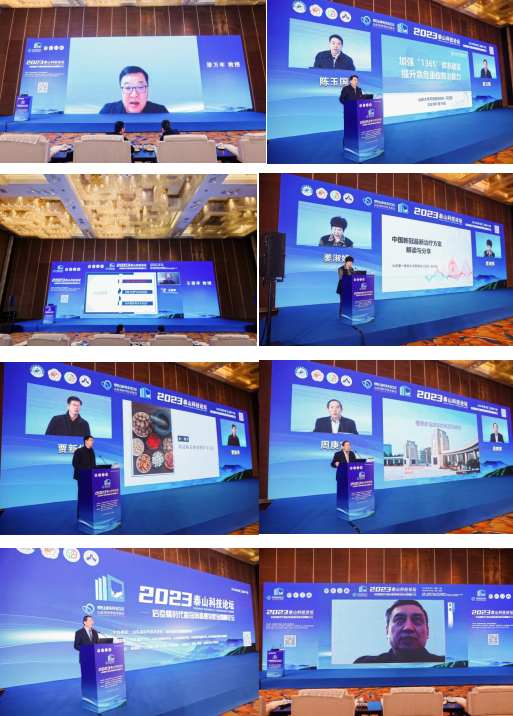 图片 14.png